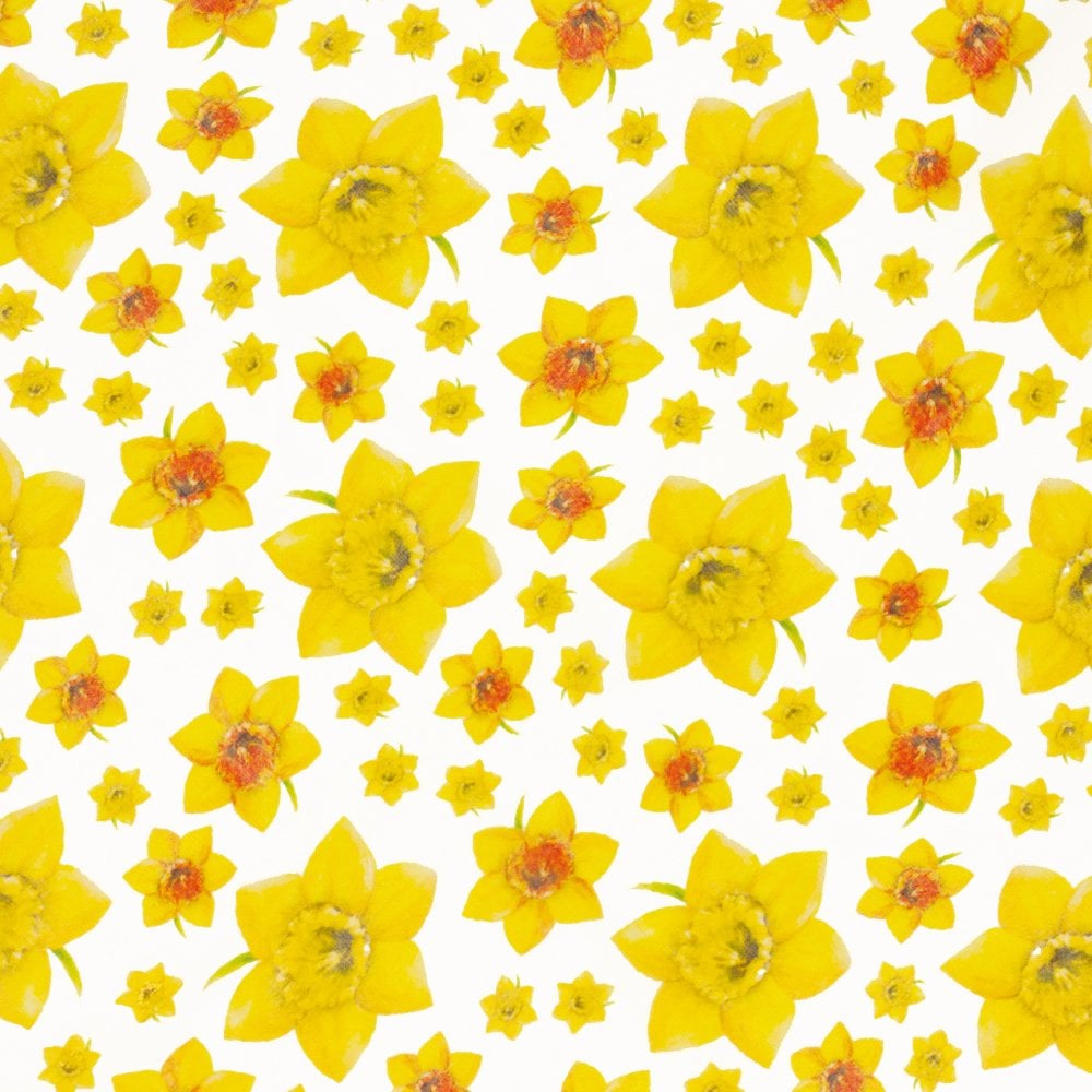 Welsh Daffodil Yellow and White Multi Coloured Pure Silk Scarf