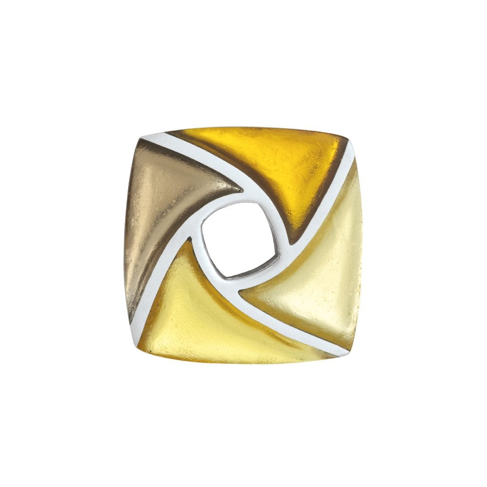 Kite Shades of Gold Silvered Resin Brooch