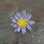 Waterlily Blue and Yellow Enamel Silver Tone Flower Brooch